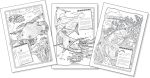 A Very Fishy Colouring Book | An Educational look into Australia’s Favourite Fish Species |Estuary to Ocean Fish - Image 3