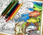 A Very Fishy Colouring Book | An Educational look into Australia’s Favourite Fish Species |Estuary to Ocean Fish - Image 6