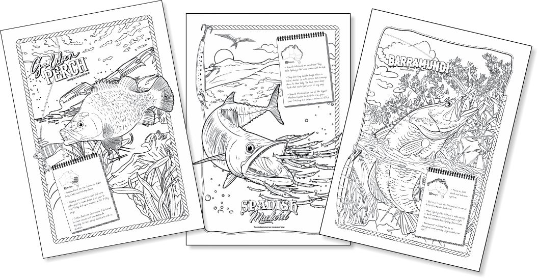 A Very Fishy Colouring Book | An Educational look into Australia’s Favourite Fish Species |Estuary to Ocean Fish - Image 2
